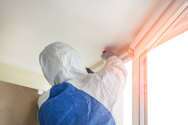 Why You Should Choose Our Mold Remediation Services in Elroy, WI