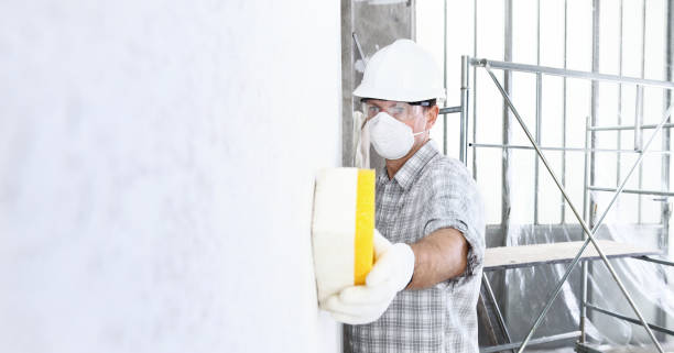 Best Mold Prevention Services  in Elroy, WI