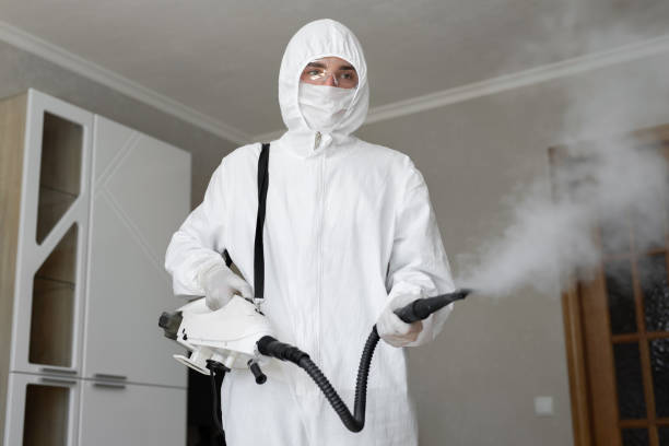 Biohazard Mold Removal in Elroy, WI